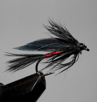 ���� ������ Wet fly 
